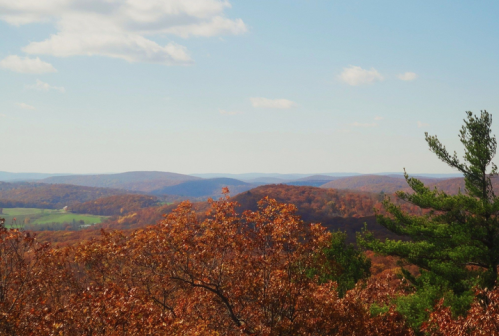 A scenic view of rolling hills covered in autumn foliage under a clear blue sky.