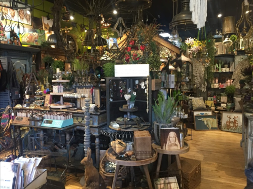 A cozy shop filled with various decorative items, plants, and unique crafts, creating a warm and inviting atmosphere.