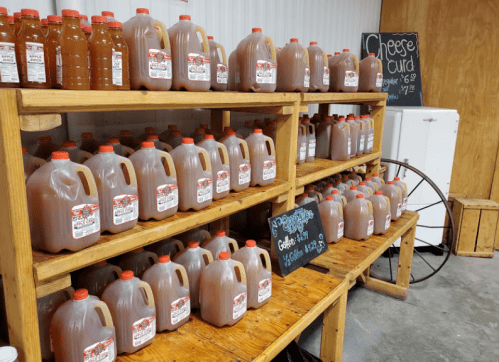 Shelves filled with gallon jugs of apple cider and other beverages, with a chalkboard sign for cheese curds.