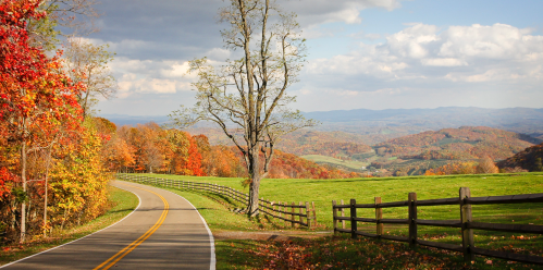 A winding road through vibrant autumn foliage, with rolling hills and a cloudy sky in the background.