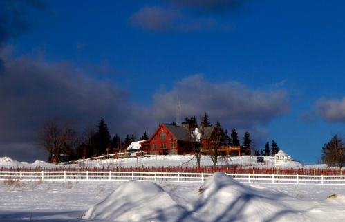A red house on a snowy hill, surrounded by trees and a white fence, under a blue sky with clouds.