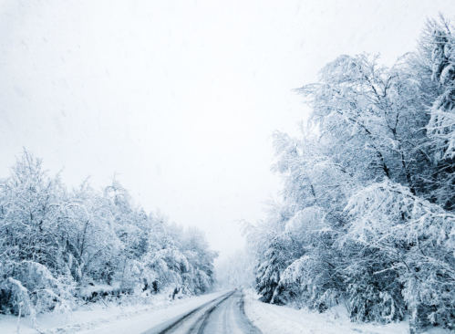 A snowy road surrounded by trees blanketed in white, creating a serene winter landscape.