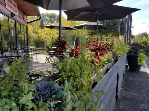 Outdoor dining area with tables, umbrellas, and vibrant plants in planters along a pathway.
