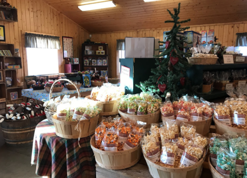 A cozy shop interior filled with baskets of colorful popcorn and festive decorations, including a small Christmas tree.