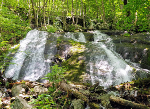 A serene waterfall cascading over moss-covered rocks, surrounded by lush green trees and foliage.