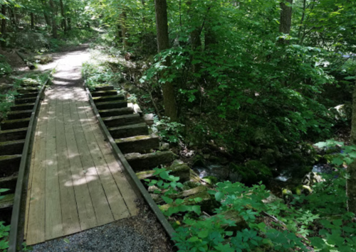 A wooden bridge over a small stream, surrounded by lush green trees and foliage in a serene forest setting.