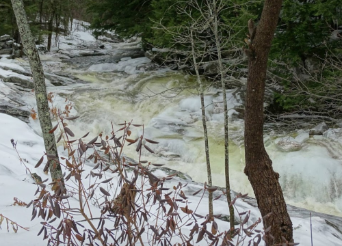 A rushing river flows through a snowy landscape, surrounded by trees and rocky banks.