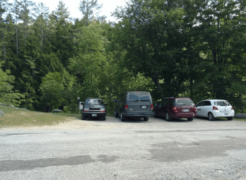 A parking area with four vehicles surrounded by trees and greenery.