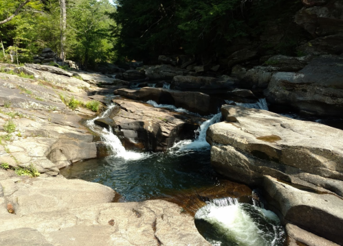 A serene stream flows over smooth rocks, surrounded by lush greenery and trees in a peaceful natural setting.