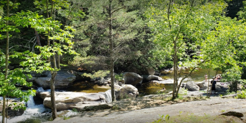 A serene river scene surrounded by trees, with rocks and people enjoying the water on a sunny day.