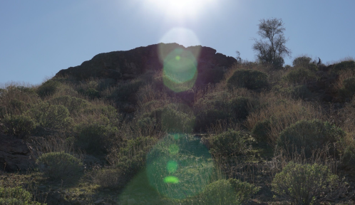 Sunlight shines over a rocky hillside covered with shrubs and grasses, creating a lens flare effect.