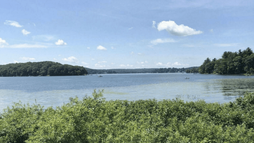 A serene lake surrounded by lush greenery and trees, under a clear blue sky with a few clouds.