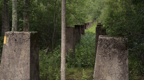 Concrete pillars line a forest path, surrounded by lush greenery and trees, suggesting remnants of an old structure.