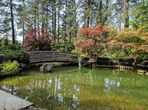 A serene garden scene featuring a wooden bridge over a calm pond, surrounded by lush trees and colorful foliage.