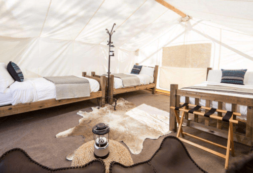 Cozy glamping tent interior with wooden beds, a cowhide rug, and a lantern, creating a rustic, inviting atmosphere.