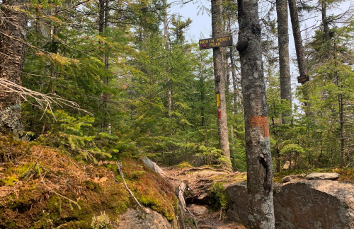 A wooded trail with a signpost indicating "North Percy Peak" amidst lush greenery and rocky terrain.