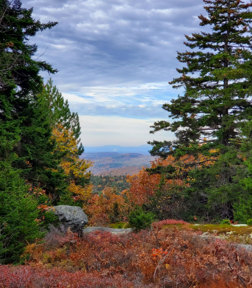 A scenic view of a colorful autumn landscape with trees, rocky foreground, and distant mountains under a cloudy sky.