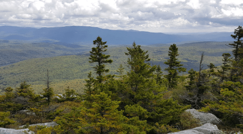 A panoramic view of mountains and valleys, with green trees in the foreground and cloudy skies above.
