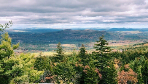 A panoramic view of rolling hills and valleys, dotted with trees, under a cloudy sky. Autumn colors are visible.