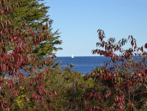 A sailboat on calm blue water, framed by vibrant autumn foliage and clear blue skies.