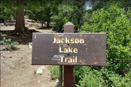 Wooden sign for Jackson Lake Trail surrounded by greenery and trees.