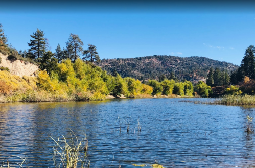 A serene river flows through a landscape of trees and hills under a clear blue sky.
