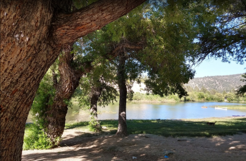 A serene lakeside scene with trees framing the view, reflecting calm water and a distant shoreline.