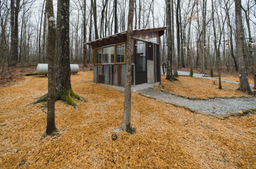 A small rustic cabin surrounded by trees and covered in orange leaves, with a gravel path leading to it.