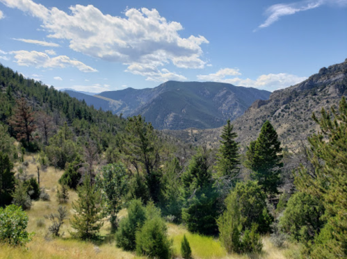 A scenic view of a mountainous landscape with green trees and a blue sky dotted with clouds.