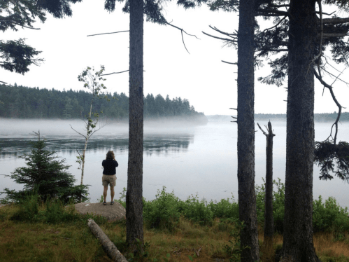 A person stands by a misty lake surrounded by trees, gazing at the calm water and distant forest.