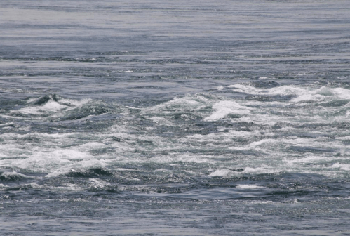 Waves and ripples on a blue ocean surface, creating a dynamic and textured water scene.