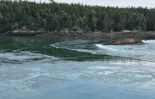 A calm body of water with swirling patterns, surrounded by lush green trees and rocky shores in the background.