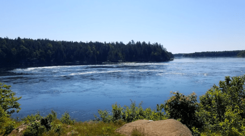 A serene river scene with calm blue water, surrounded by lush green trees under a clear blue sky.