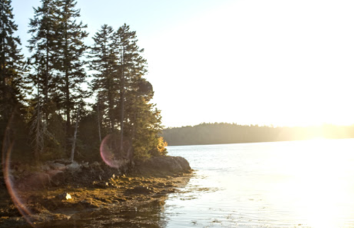 Sunlight glimmers on a calm water surface, framed by trees along the shore.