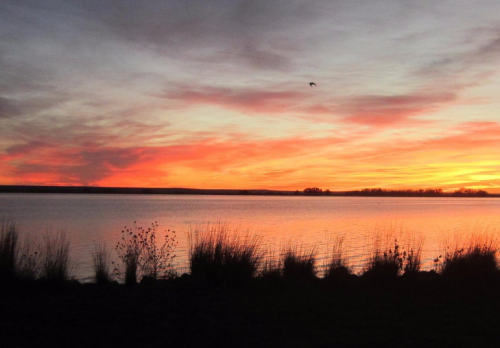 A serene sunset over a calm lake, with vibrant pink and orange hues reflecting on the water and silhouettes of grass in the foreground.