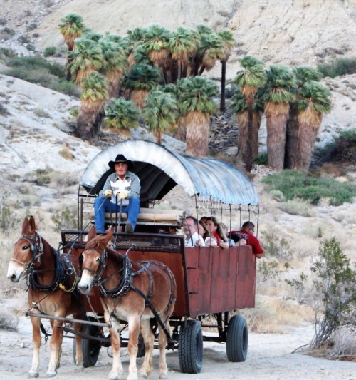 A horse-drawn wagon with passengers travels through a desert landscape, surrounded by palm trees and rocky hills.