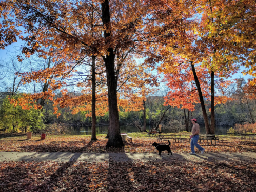 A person walks a dog through a park with vibrant autumn leaves and a serene lake in the background.