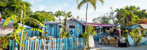Colorful outdoor restaurant with palm trees, vibrant decor, and a fenced patio area, set in a tropical environment.