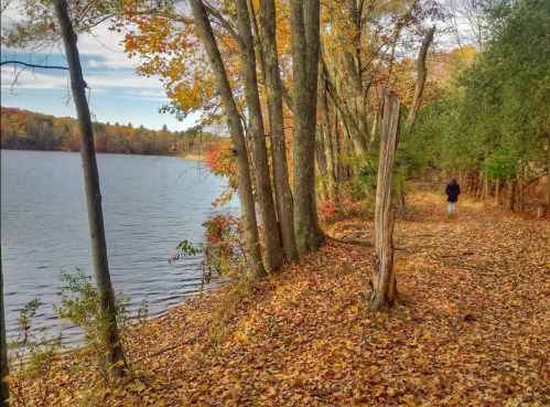 A serene lakeside path lined with autumn trees and colorful leaves, with a person walking along the water's edge.