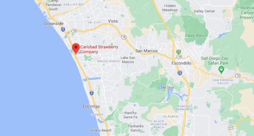 Map showing the location of Carlsbad Strawberry Company near the coast in California, with nearby cities marked.