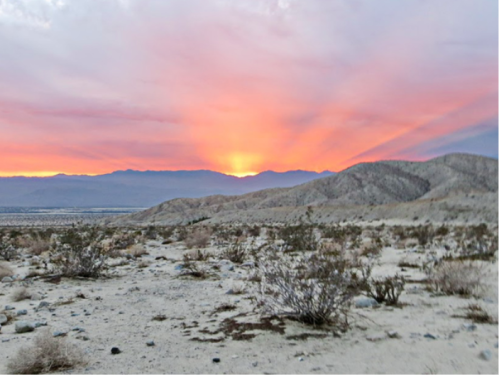 A desert landscape at sunset, with vibrant pink and orange hues illuminating the sky behind distant mountains.
