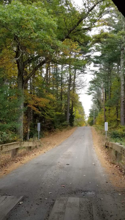 A quiet, tree-lined road with autumn foliage, leading into a serene forested area.