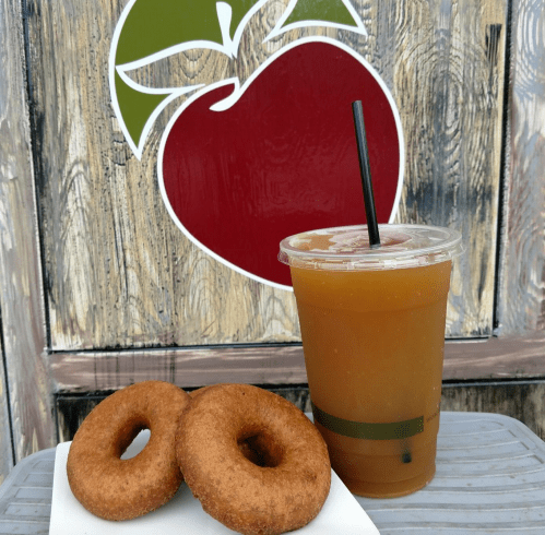 A plate with two donuts and a cup of apple cider in front of a wooden backdrop featuring an apple logo.