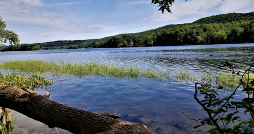 A serene lake surrounded by lush greenery and hills under a clear blue sky. Gentle ripples on the water's surface.