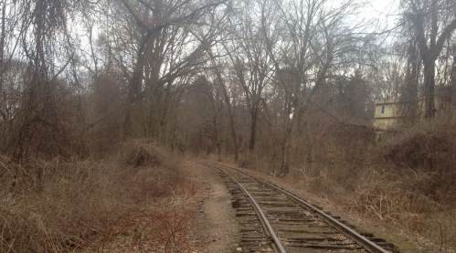 A winding railway track surrounded by bare trees and overgrown vegetation on a cloudy day.