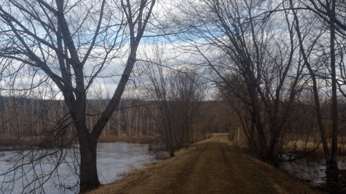 A serene path lined with bare trees beside a calm river under a cloudy sky.