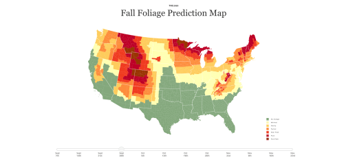 Map showing fall foliage predictions across the U.S. with color-coded regions for peak leaf changes from Sept to Nov 2023.