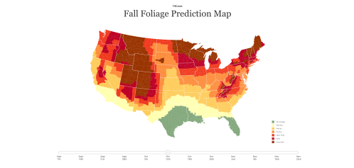 Map of the U.S. showing fall foliage prediction, with color-coded regions indicating peak viewing times from September to November.
