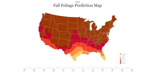 Map showing fall foliage predictions across the U.S. for 2020, with color-coded regions indicating peak times.