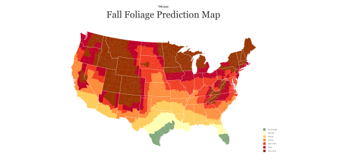 Map of the U.S. showing fall foliage predictions with color-coded regions for peak, near peak, and past peak foliage.